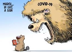 An editorial cartoon. A raging lion comes in from the top right, with "COVID-19" written in it's mane. It towers over a small beaver holding a planner. Text in the top left reads, "March... in like a lion".