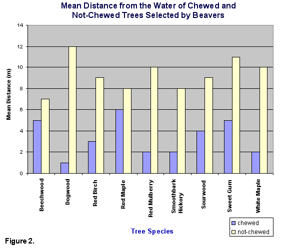 2-stack bar graph of mean distance from the water of chewed and not-chewed trees selected by beavers, where beavers will travel farthest to chew red maple and least far for dogwood