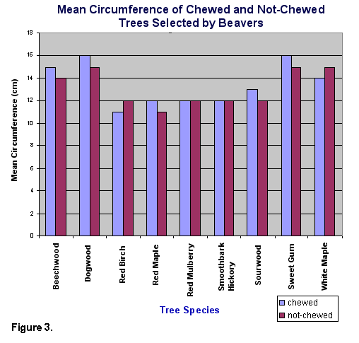 2-stack bar graph of mean circumference of chewed and not-chewed trees selected by beavers, where there appears to be no correlation between circumference and beaver preference