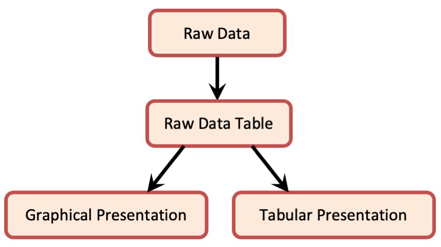 Flowchart starting with Raw Data, moving to Raw Data Table, then branching to either Graphical Representation or Tabular Representation